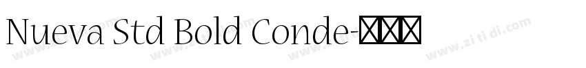 Nueva Std Bold Conde字体转换